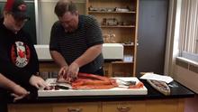 Salmon Dissection...Time-Lapse