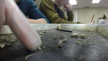 #EcoPoints...GoPro Time-Lapse of Owl Pellet Dissection