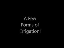 ECO-POINT ACTIVITY...Video on Irrigation Systems