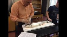 ECO-POINT ACTIVITY...Video on Salmon Dissection Lab