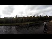 TIGHT LINES - Campbell Pool on the Cains
