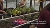 #EcoPoints...Kids in the Greenhouse